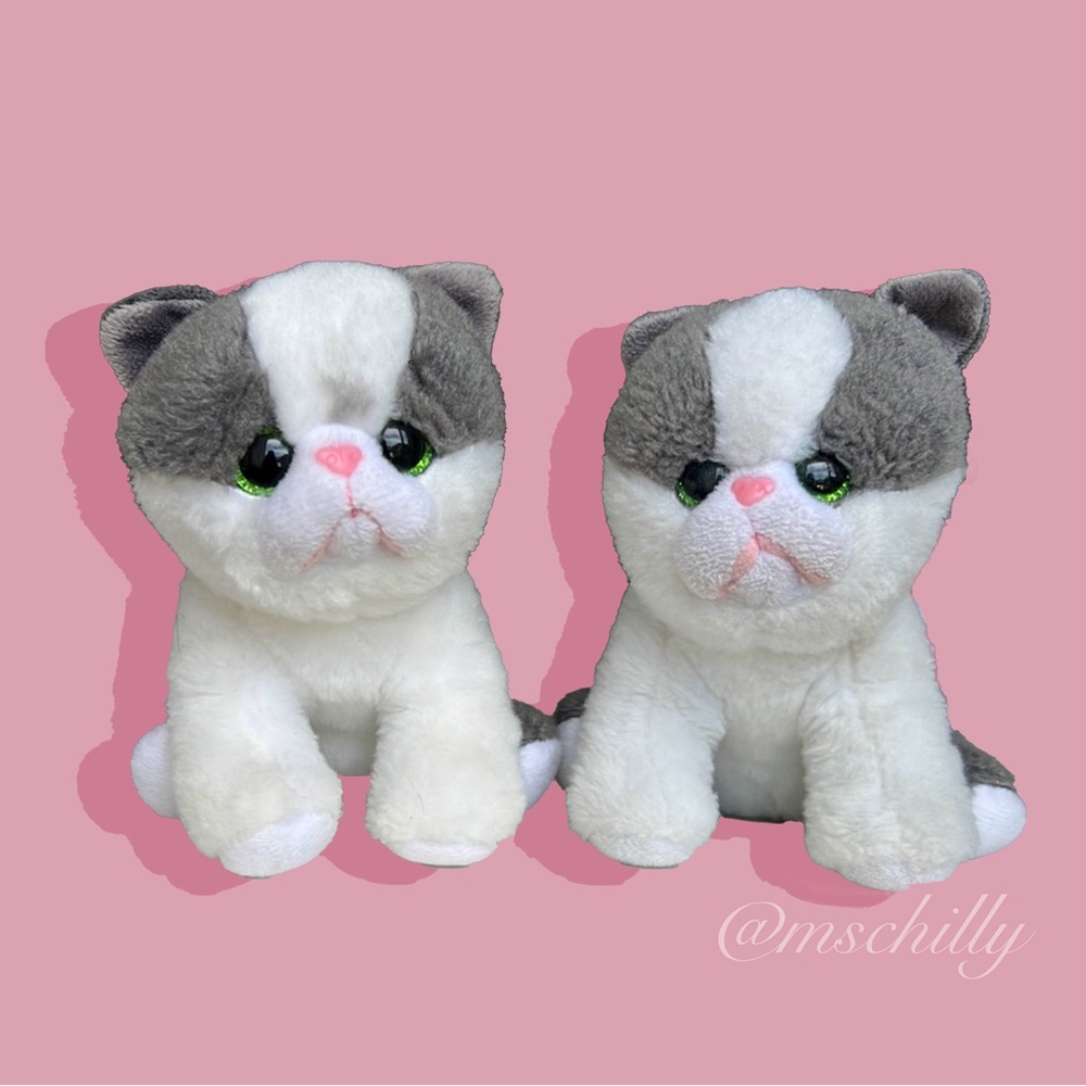 GIFTED Lot Ty Beanies Babies YANG Plush 6" Kitty Cat Kitten Stuffed Animal Gray - Picture 1 of 14